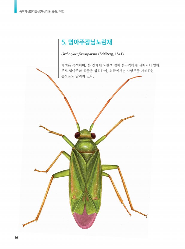 49페이지