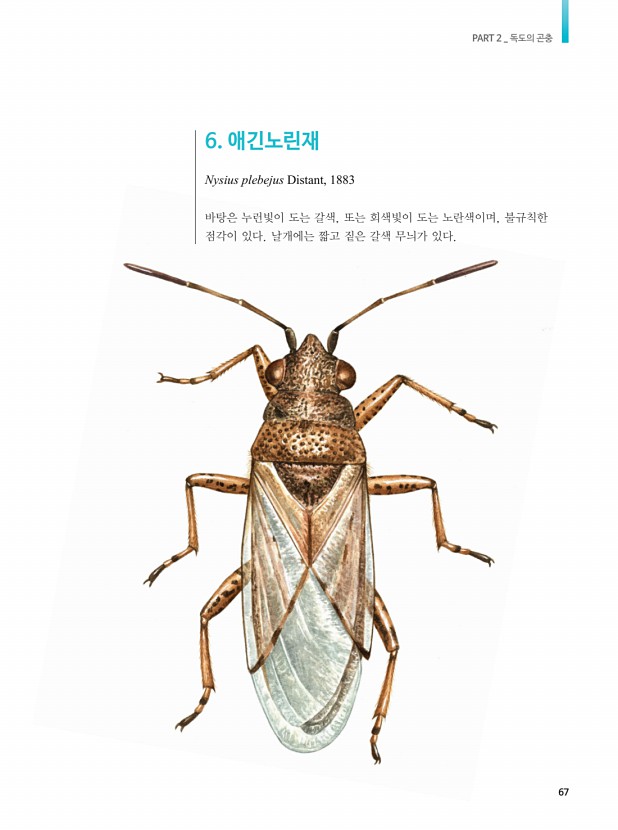 50페이지