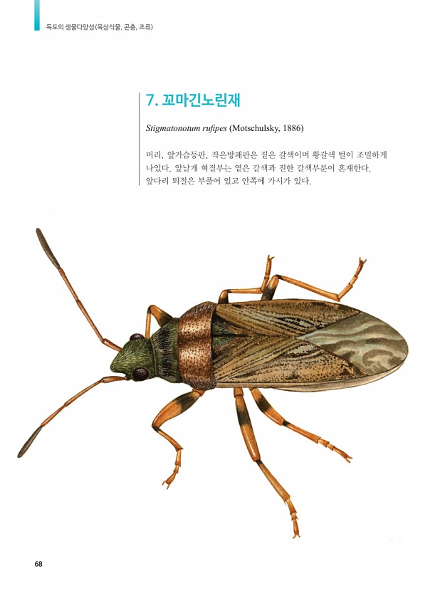 51페이지