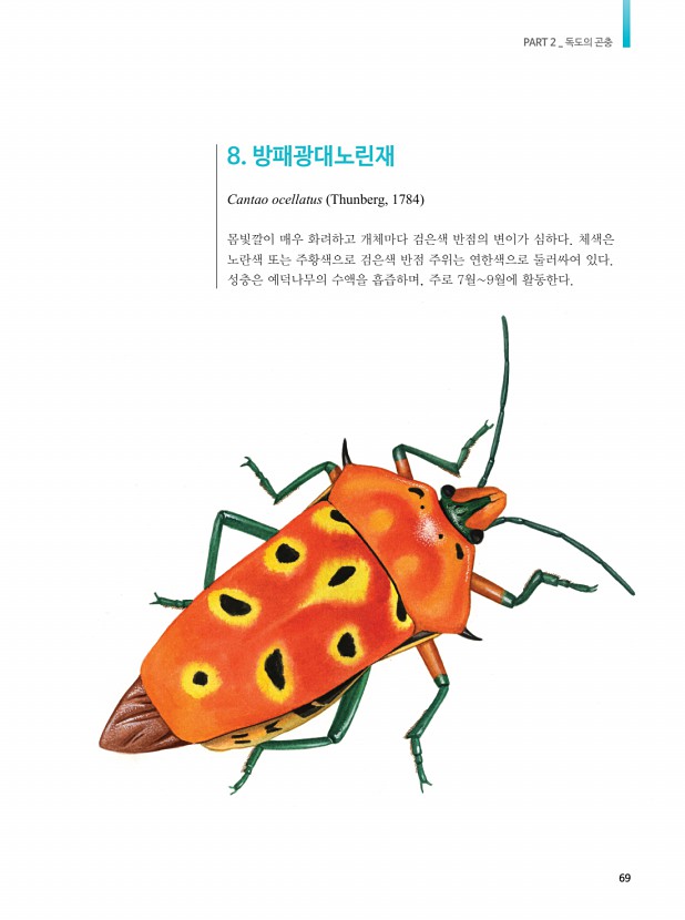 52페이지
