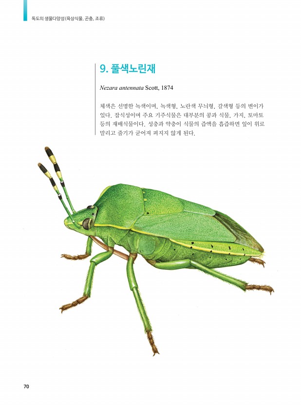53페이지