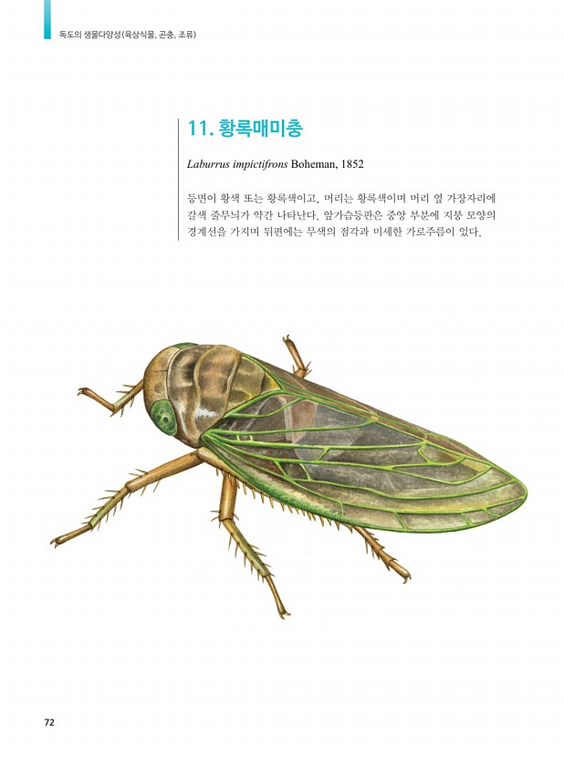 55페이지