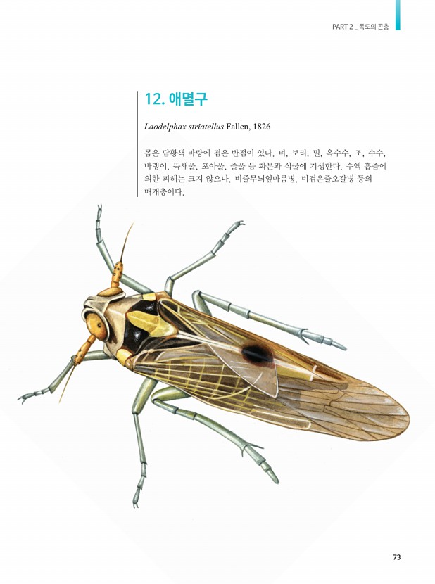 56페이지