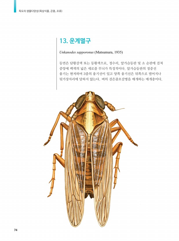 57페이지