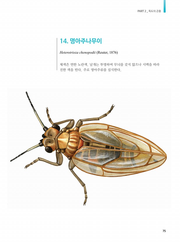 58페이지