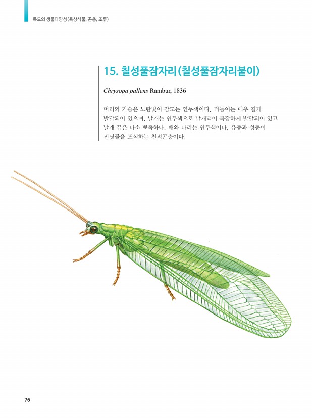 66페이지