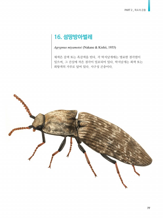 67페이지