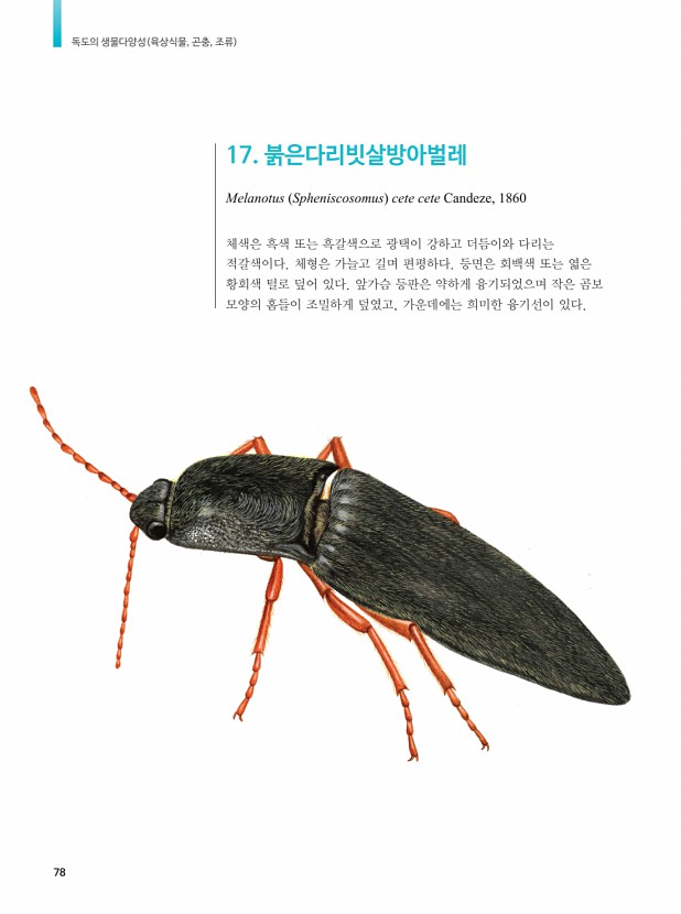 68페이지