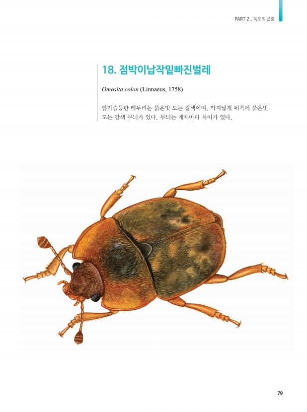 69페이지