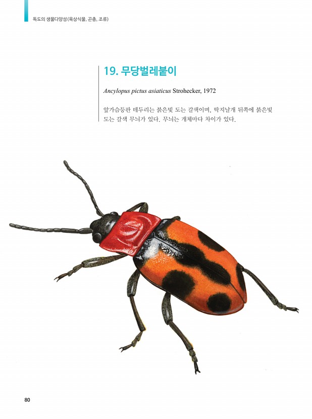 70페이지