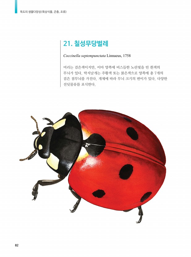 72페이지