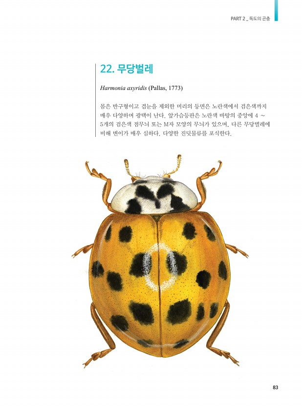 73페이지