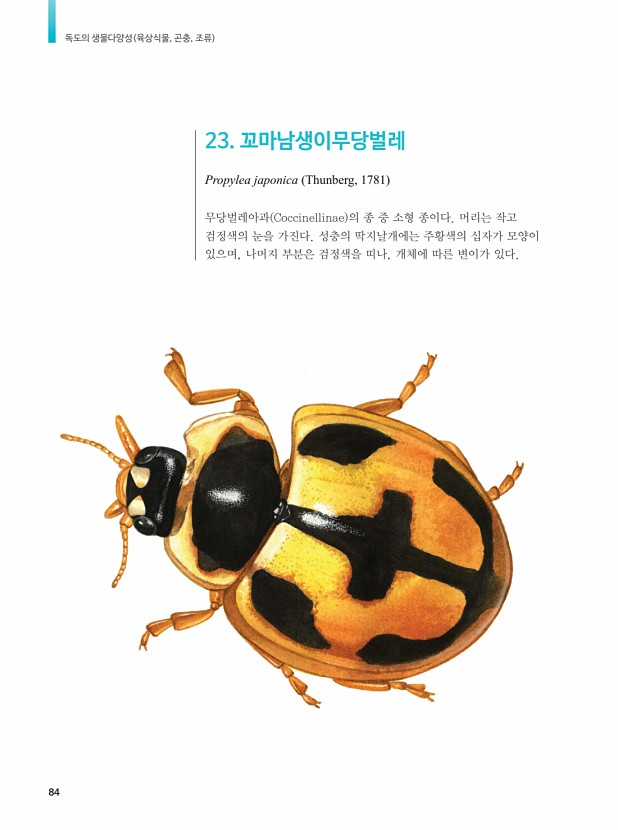 74페이지