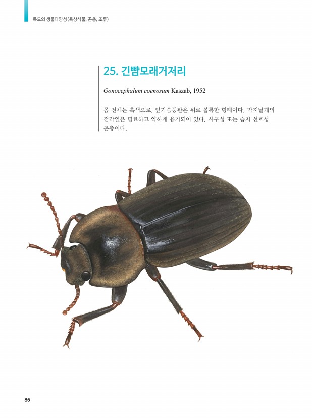 76페이지