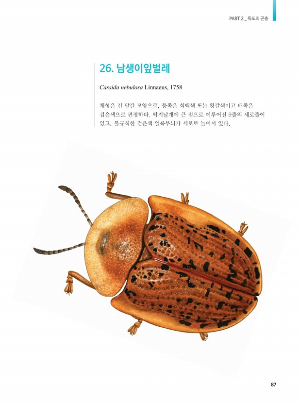 77페이지