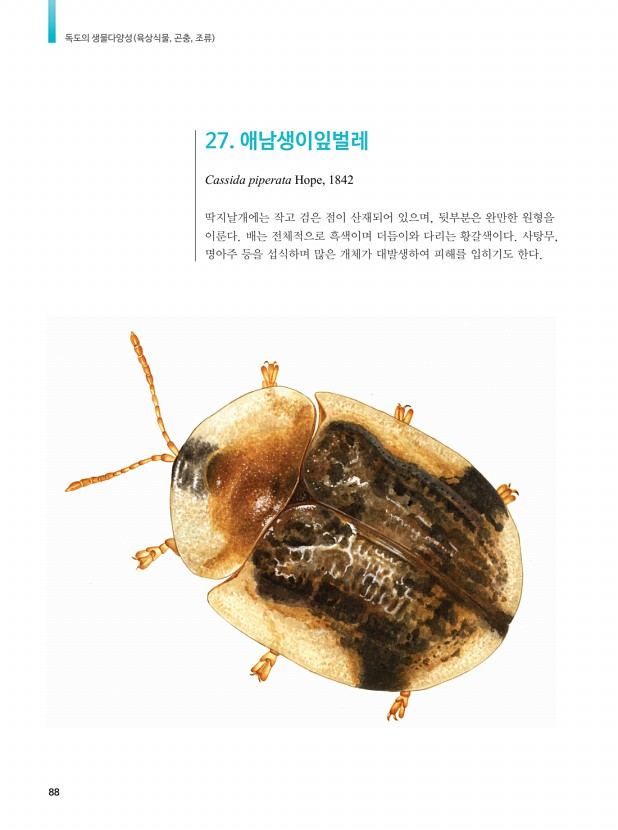 78페이지