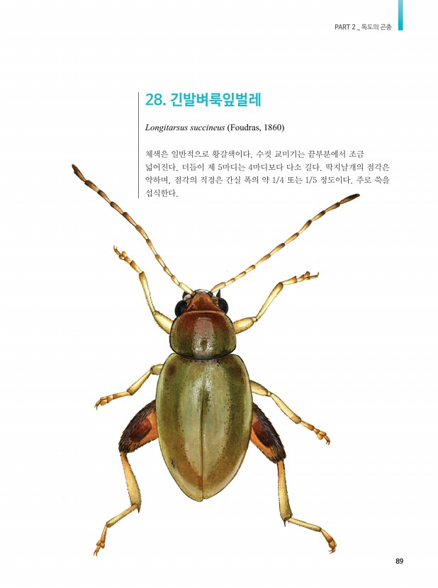 79페이지