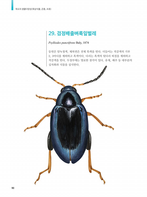 80페이지