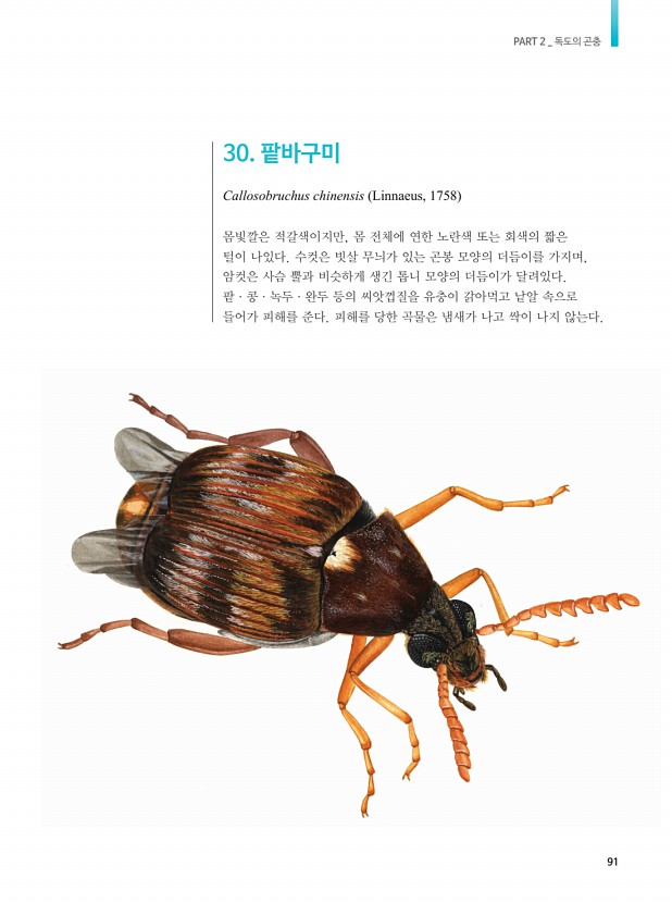 47페이지