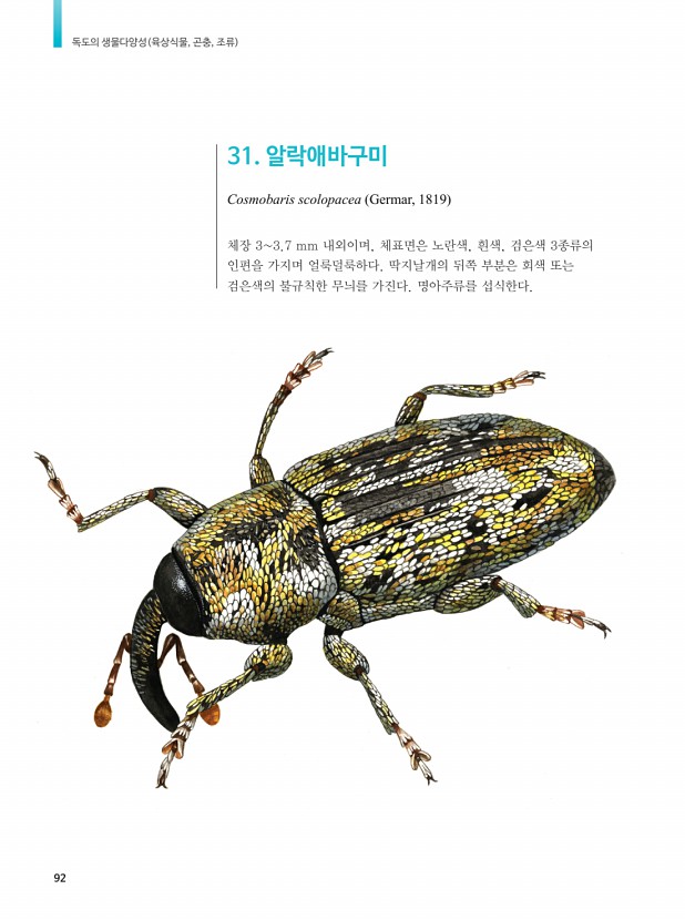 76페이지