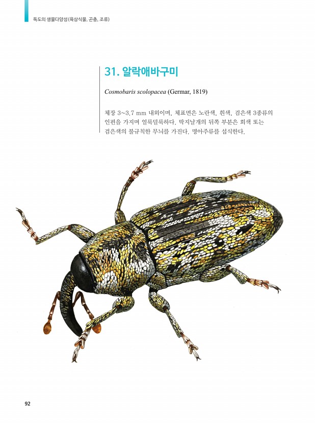 48페이지