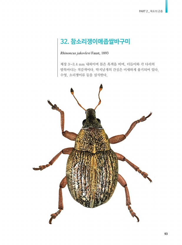 49페이지