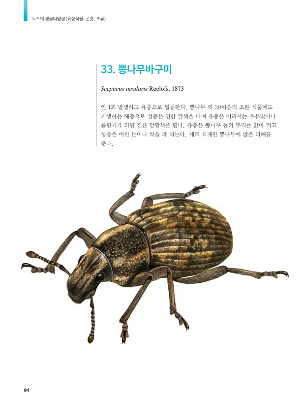 78페이지