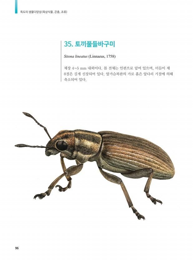 80페이지
