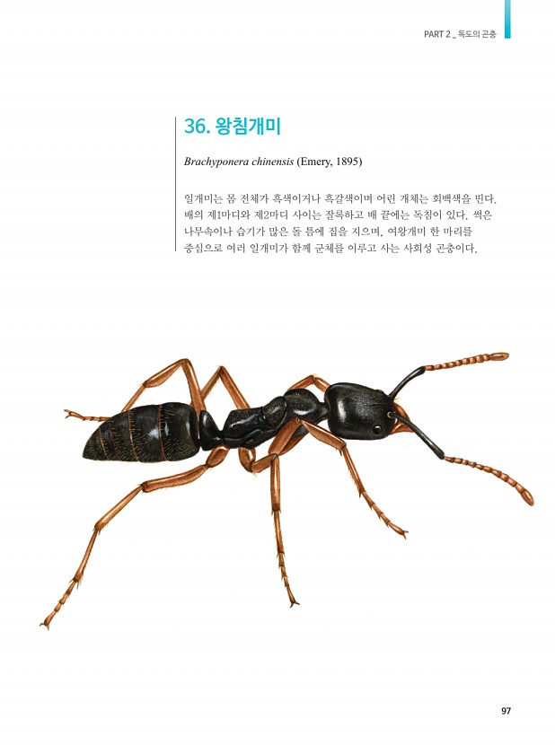 81페이지
