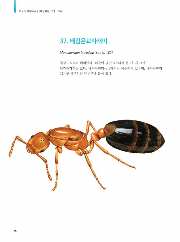 54페이지