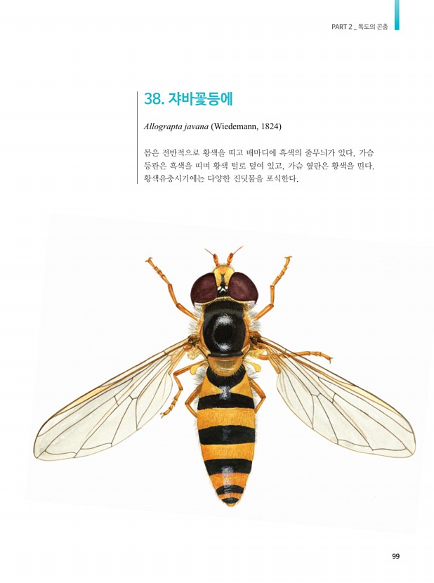83페이지