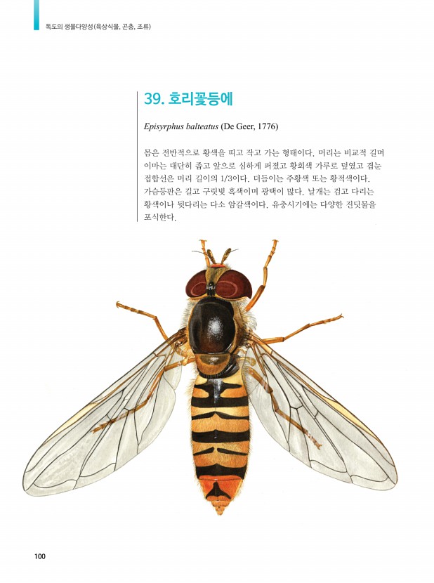 84페이지