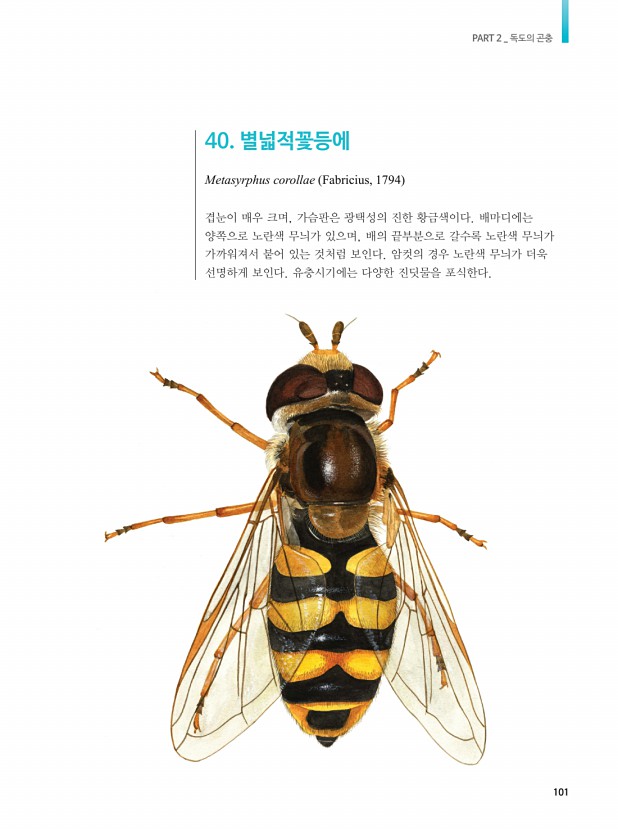 85페이지