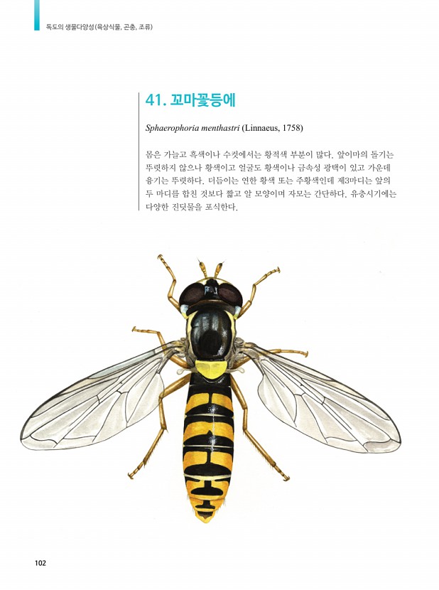 86페이지