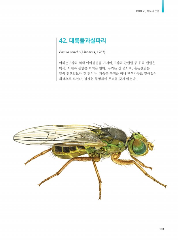87페이지