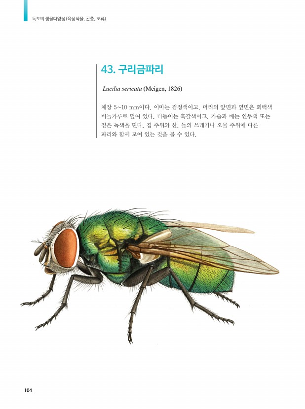 60페이지