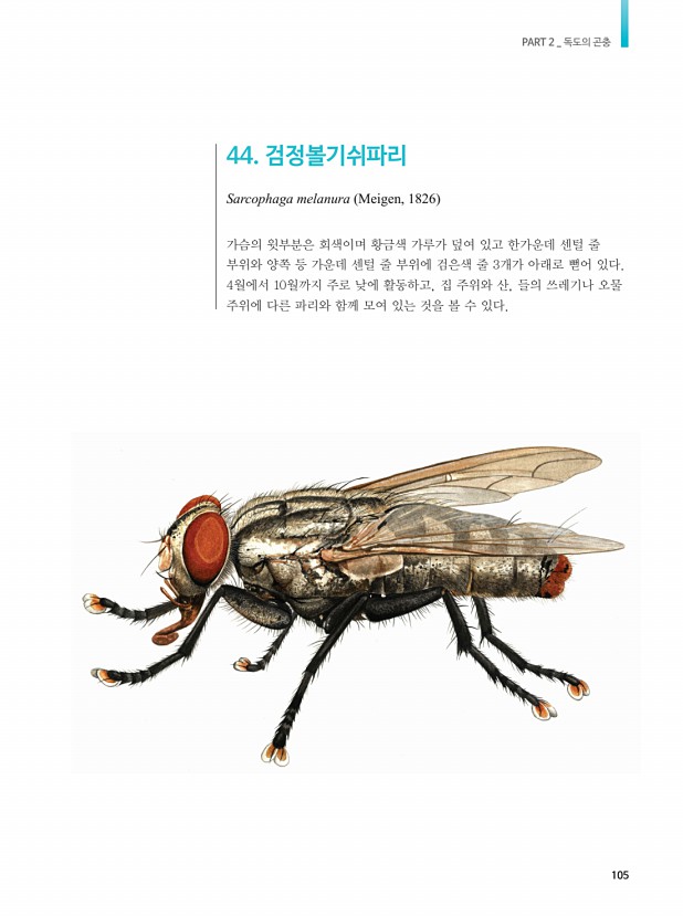 89페이지