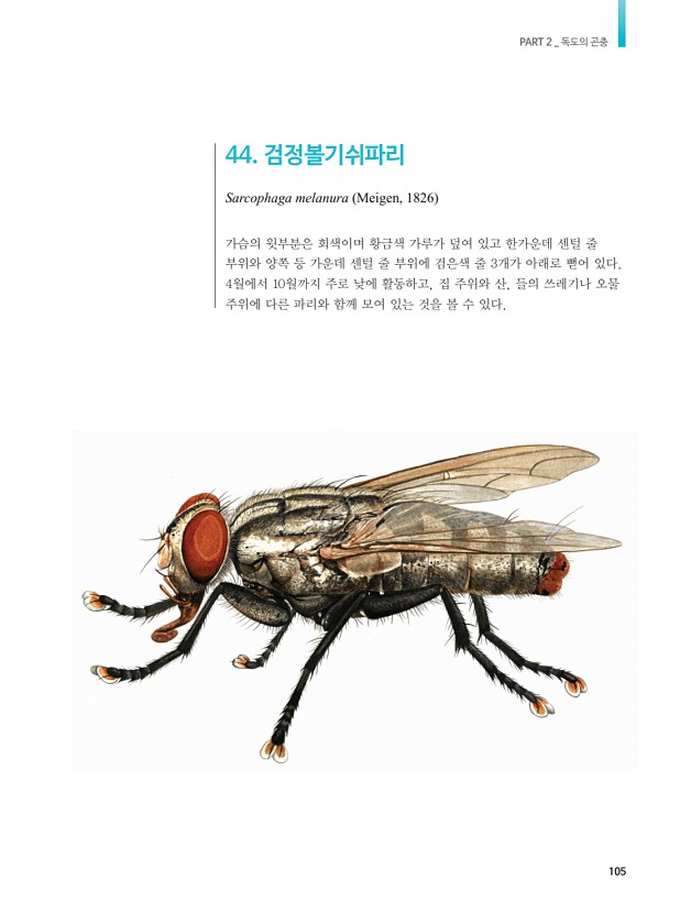 61페이지