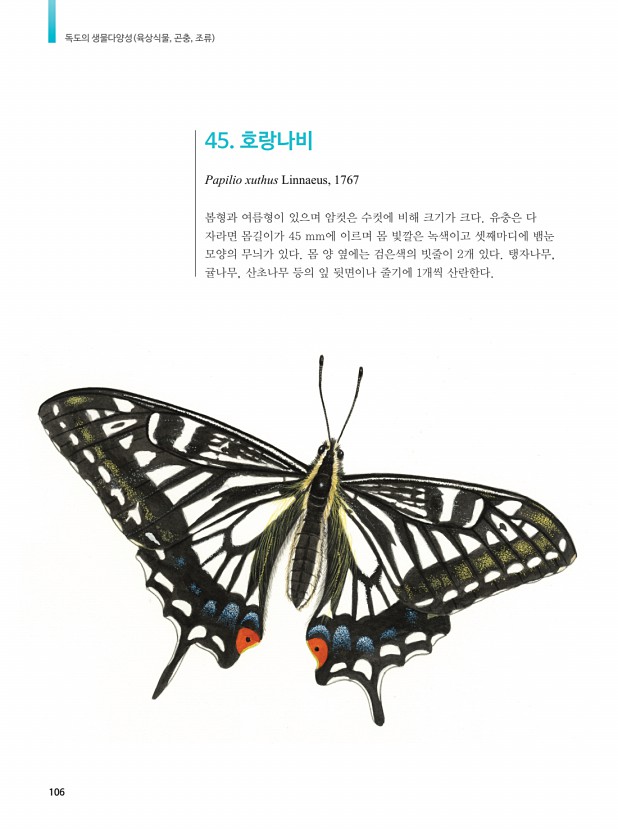 96페이지