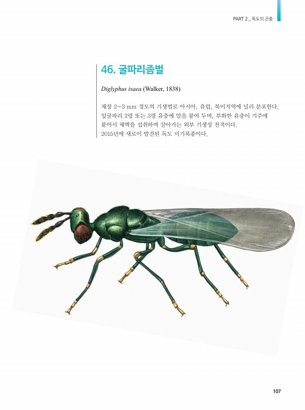 97페이지