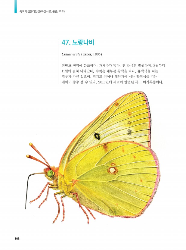 98페이지