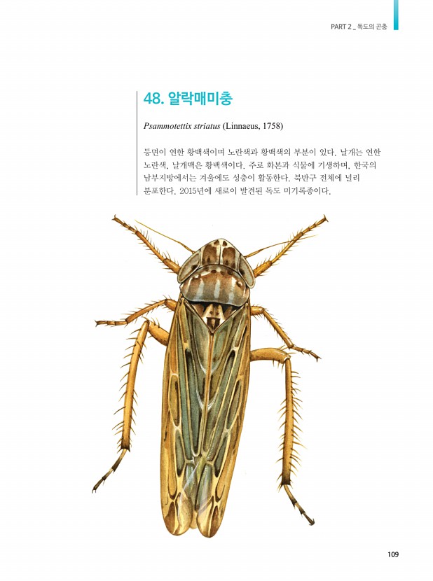 99페이지