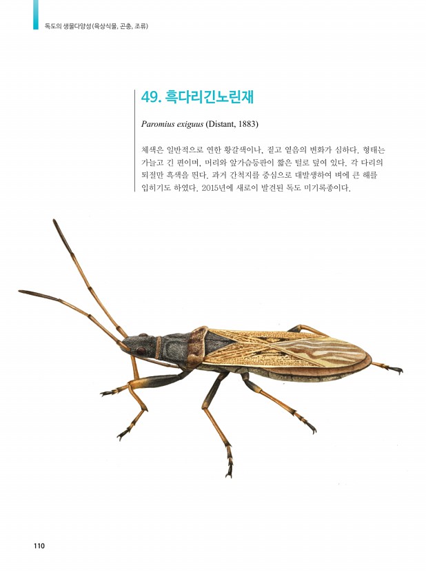 100페이지