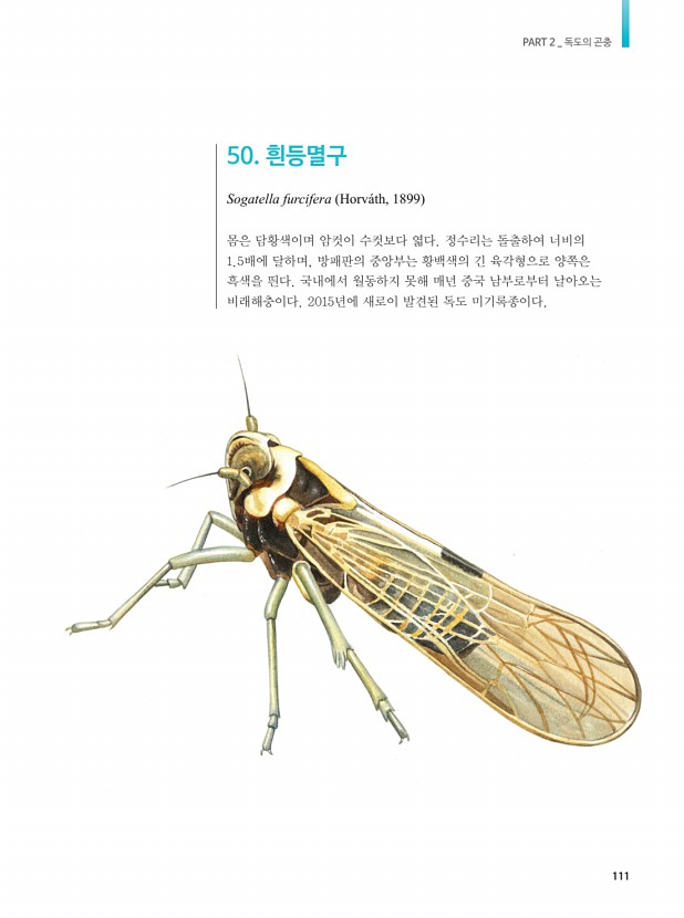 101페이지