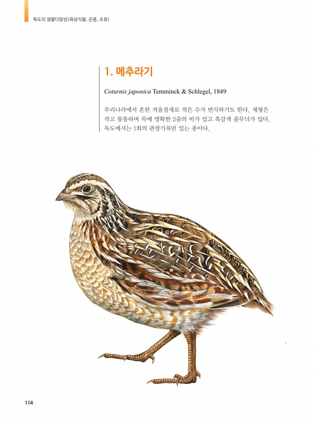 104페이지