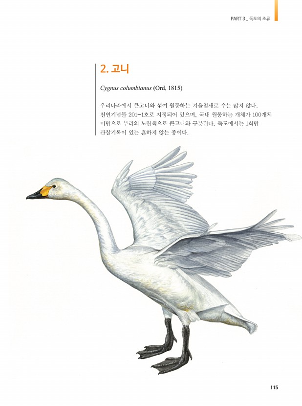 105페이지