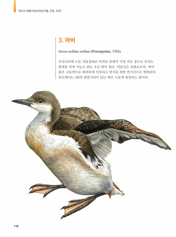 106페이지