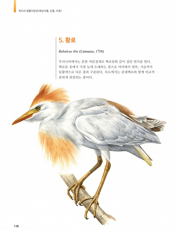 108페이지