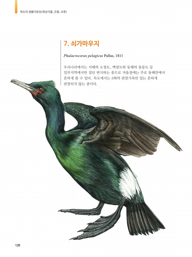 110페이지