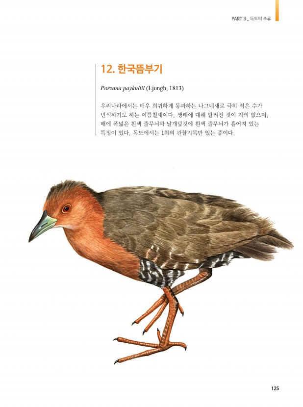 115페이지